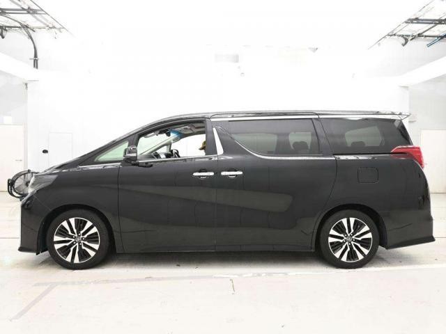 26844284_carP_l_5.jpg