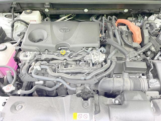 24767856_carP_l_16.jpg