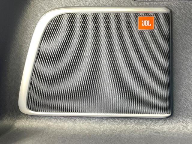22995056_carP_l_14.jpg