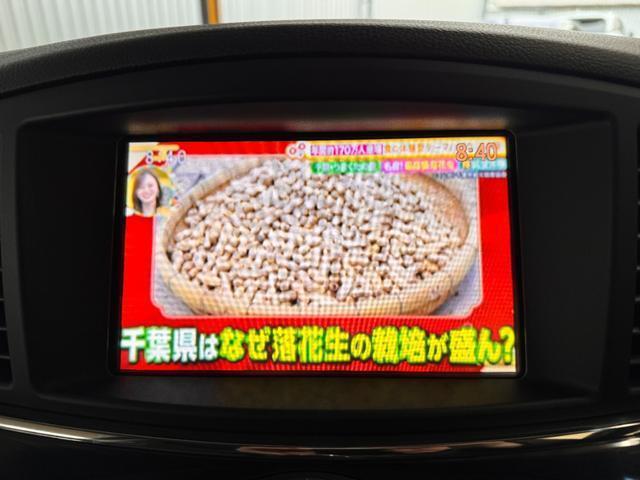 23162841_carP_l_8.jpg