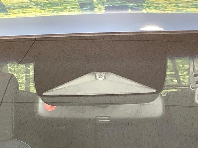 25158531_carP_l_10.jpg