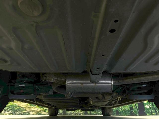 24665156_carP_l_18.jpg