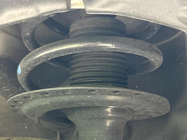 23885170_carP_l_20.jpg