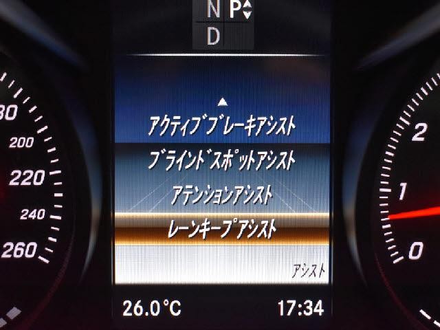 26821536_carP_l_13.jpg