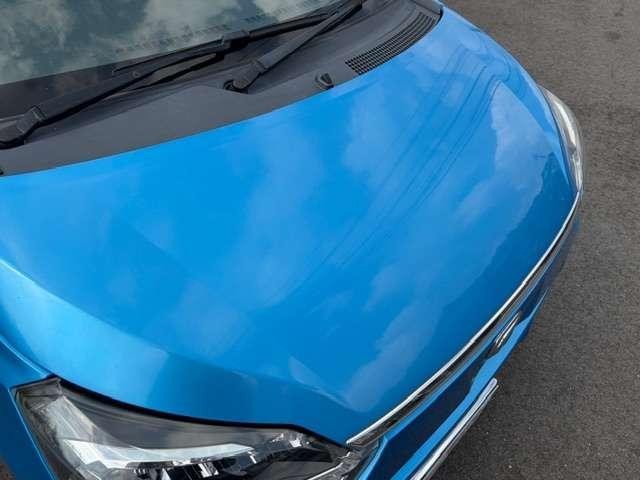 23691723_carP_l_7.jpg