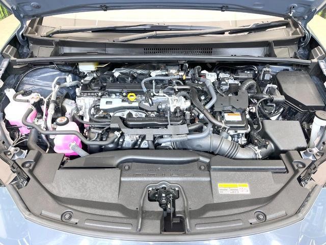 24279924_carP_l_16.jpg