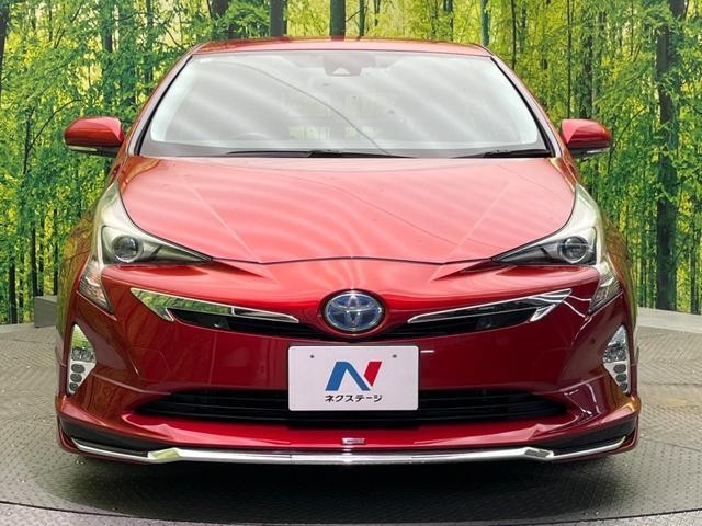 24664871_carP_l_8.jpg
