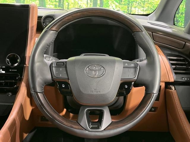 13457312_carP_l_7.jpg
