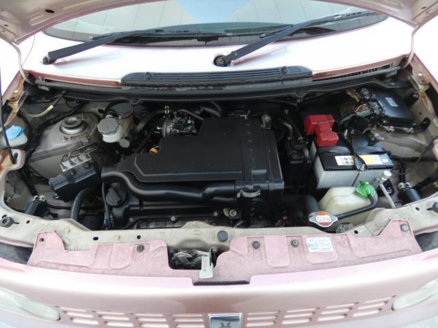 15923170_carP_l_20.jpg