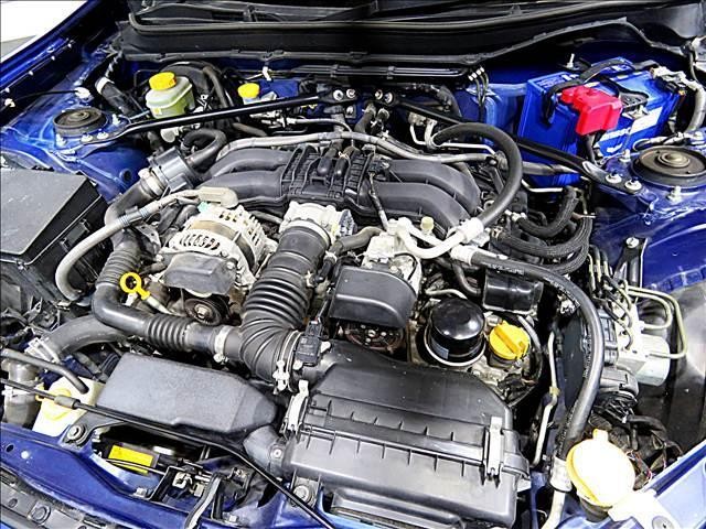 24275936_carP_l_20.jpg