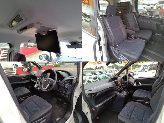 25061569_carP_l_14.jpg
