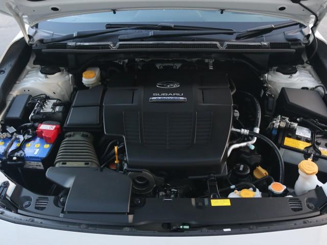 23212517_carP_l_17.jpg