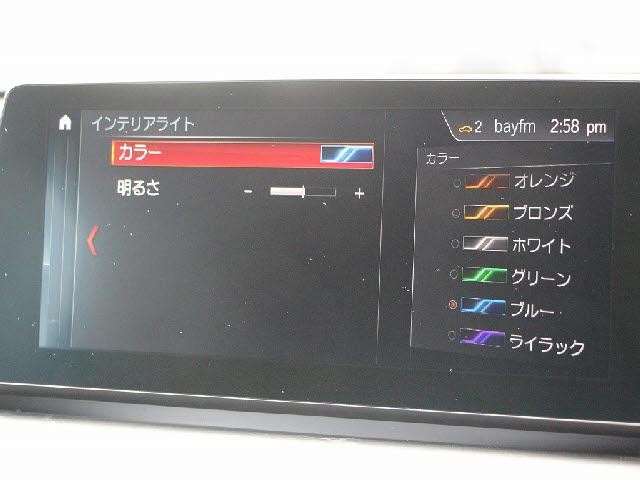 24341022_carP_l_17.jpg