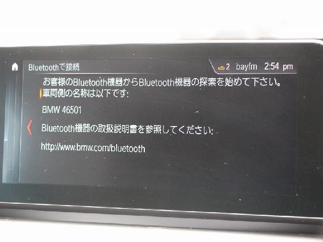 24341022_carP_l_19.jpg