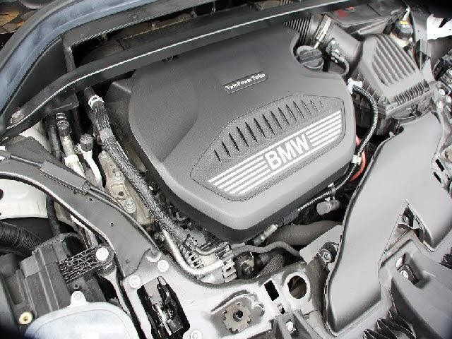 24341022_carP_l_4.jpg