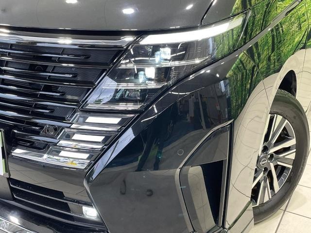 24625943_carP_l_7.jpg