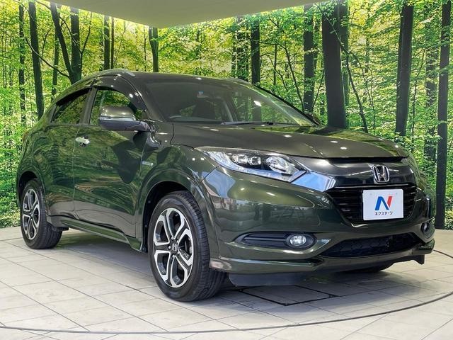 24625948_carP_l_11.jpg