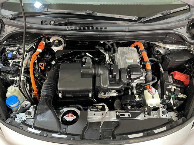 23257592_carP_l_20.jpg