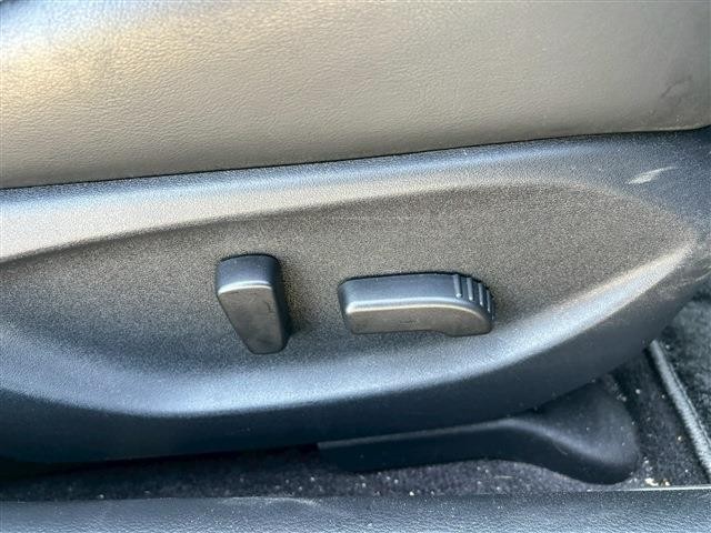 22192010_carP_l_9.jpg