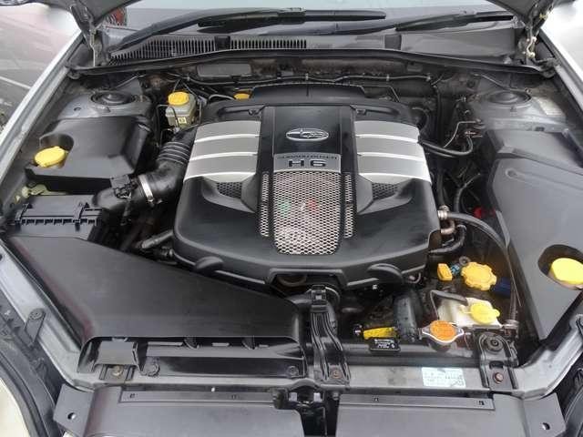 17948318_carP_l_8.jpg