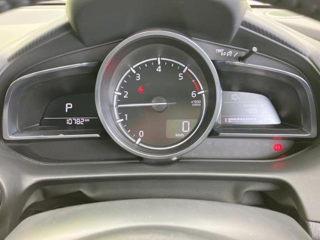 22700030_carP_l_7.jpg