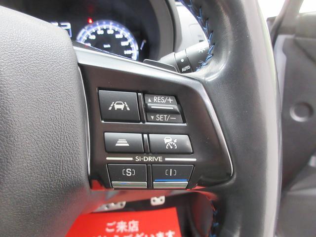 17529115_carP_l_6.jpg