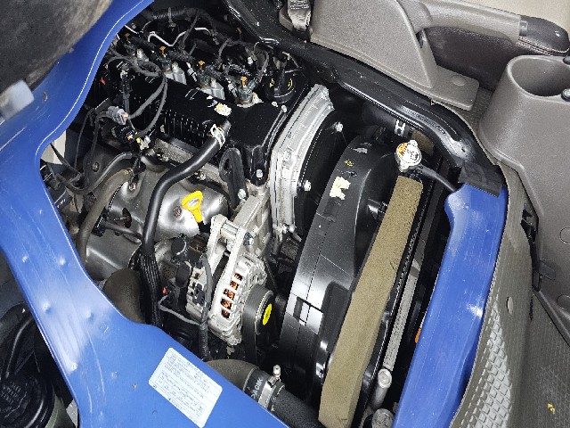 2bf28663d5a4fca974823cb49e7c0b6e.jpeg