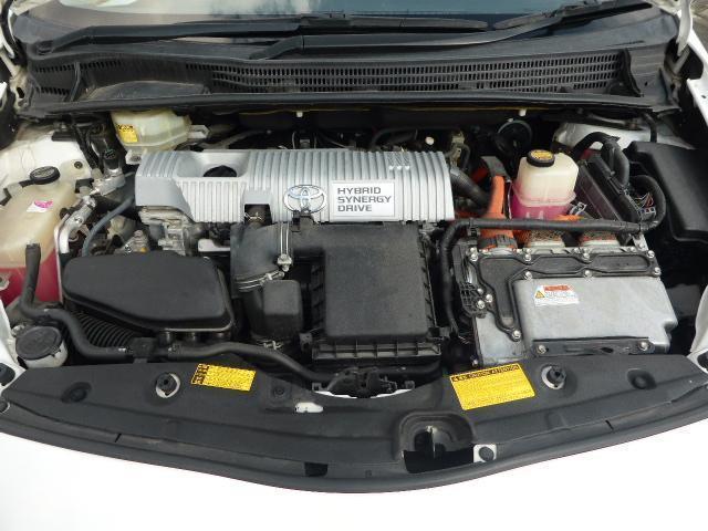 20378871_carP_l_5.jpg