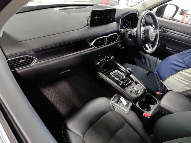 26853910_carP_l_15.jpg