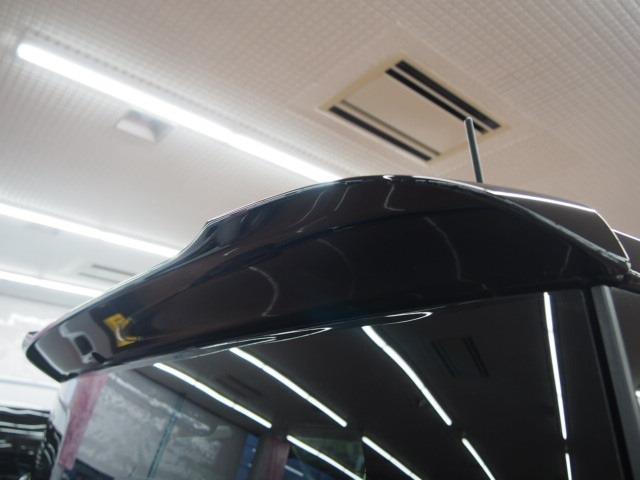22658526_carP_l_19.jpg