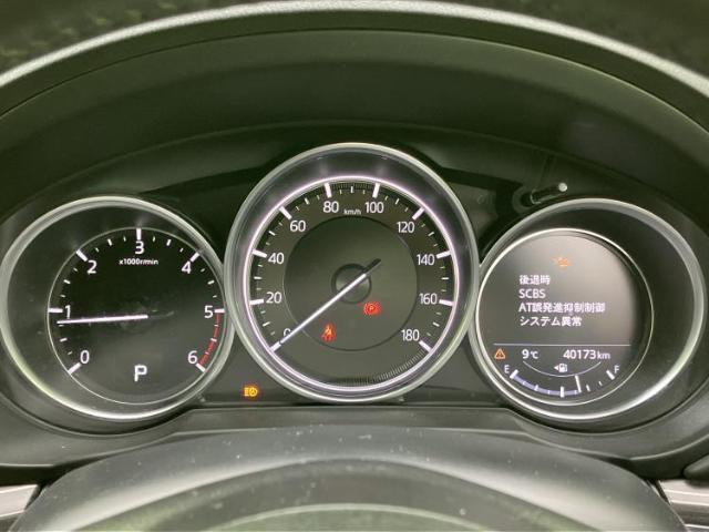 22008650_carP_l_8.jpg