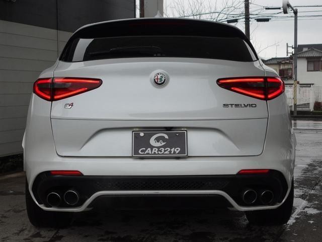 27161872_carP_l_7.jpg