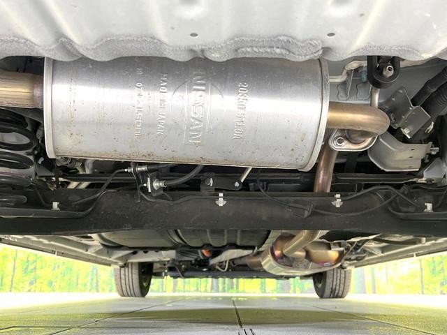 24421218_carP_l_18.jpg