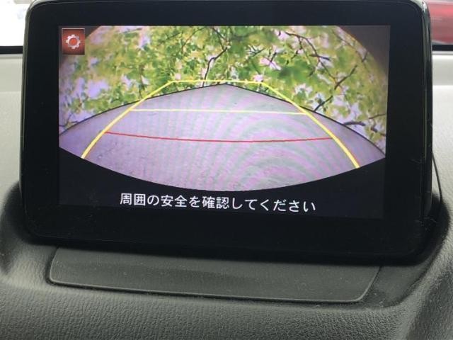 23402046_carP_l_6.jpg