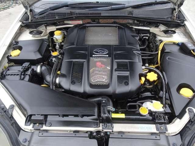 17948376_carP_l_11.jpg