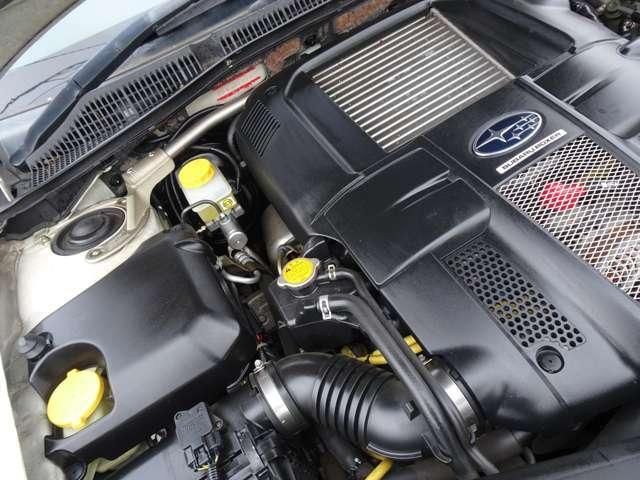 17948376_carP_l_5.jpg