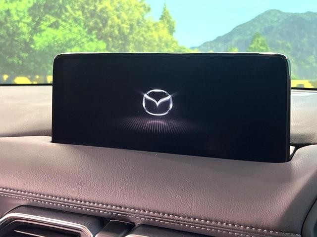 23416218_carP_l_15.jpg