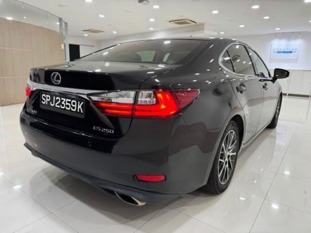 e087db1690ab51c416da9758d97779bb.jpeg