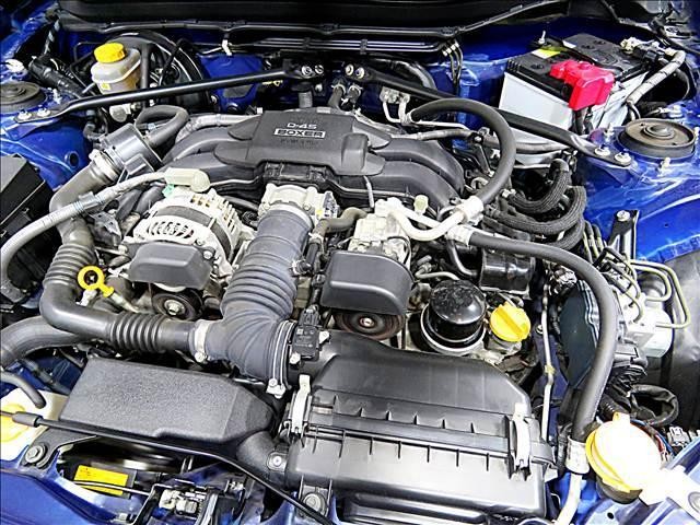 24317395_carP_l_20.jpg