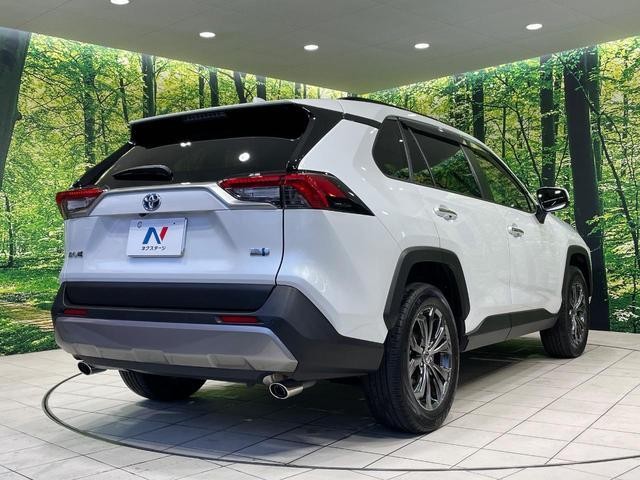 24665384_carP_l_12.jpg