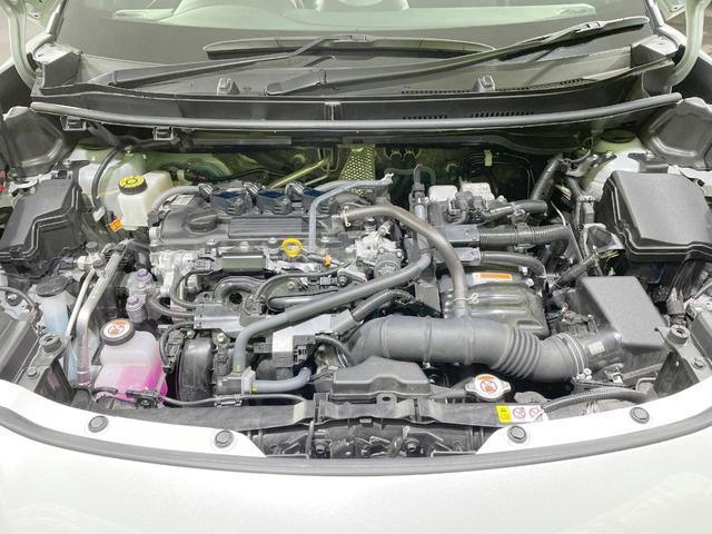 21947562_carP_l_18.jpg