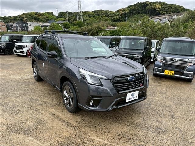 23521528_carP_l_17.jpg