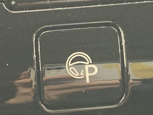 22733487_carP_l_6.jpg
