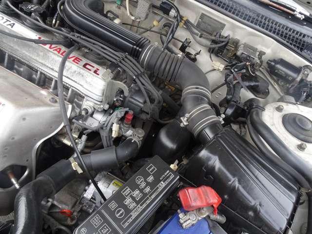 17948449_carP_l_7.jpg
