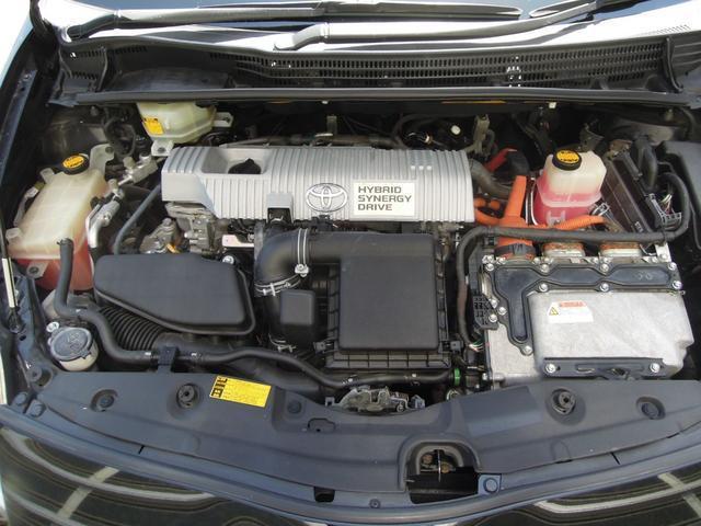 23315146_carP_l_12.jpg