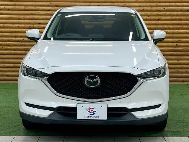 22034182_carP_l_12.jpg