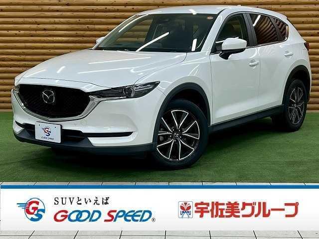 22076204_carP_l_1.jpg
