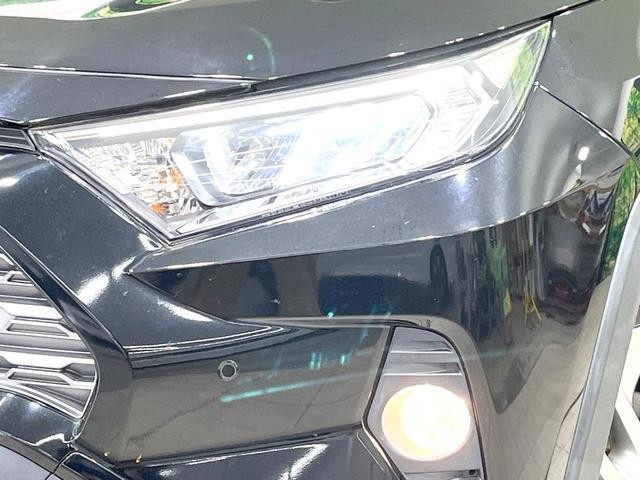 24134307_carP_l_11.jpg