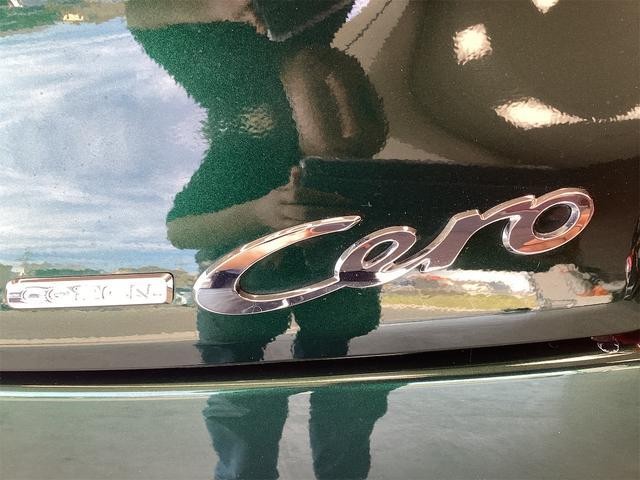 25236320_carP_l_16.jpg