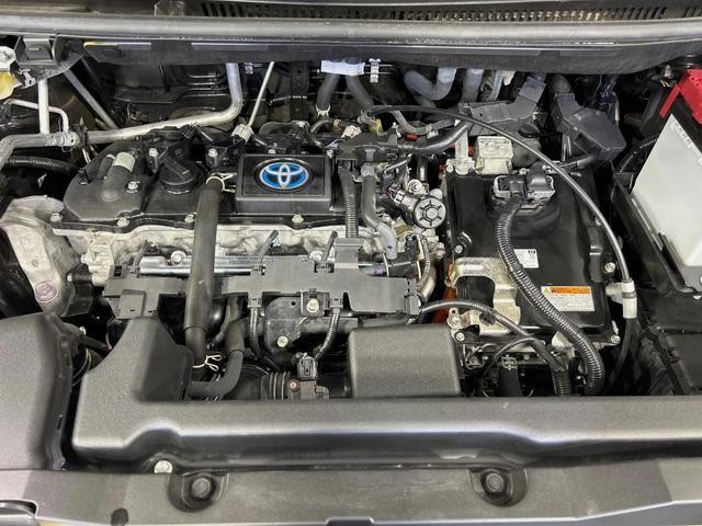 24051539_carP_l_18.jpg